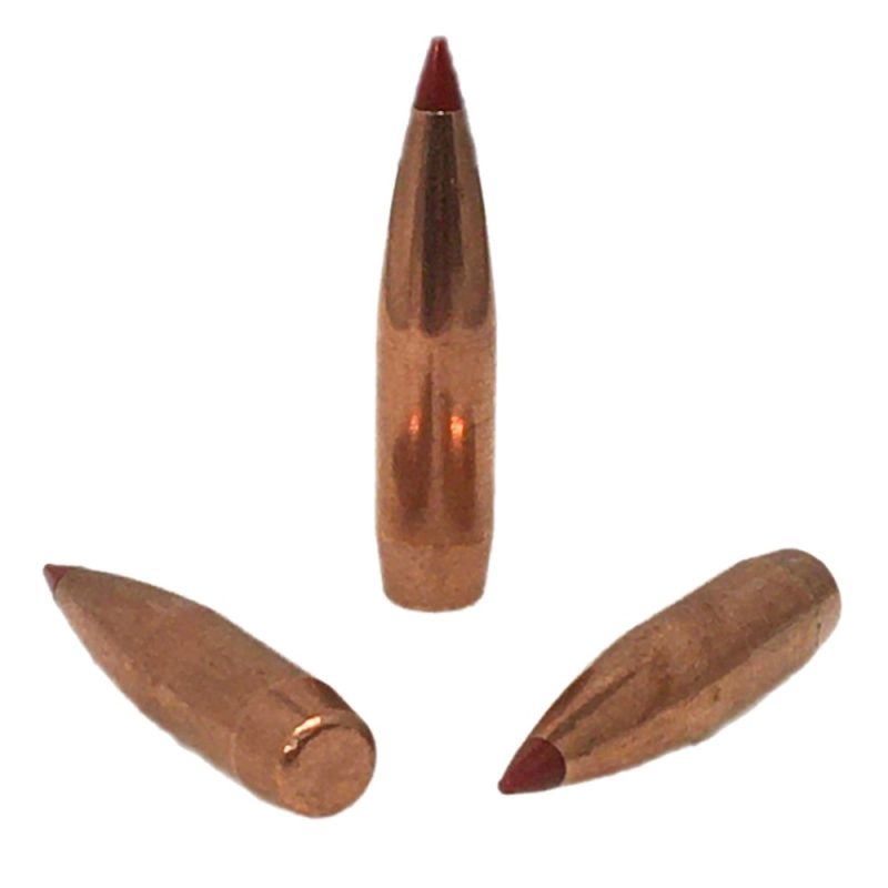 25 06 110gr Hornady