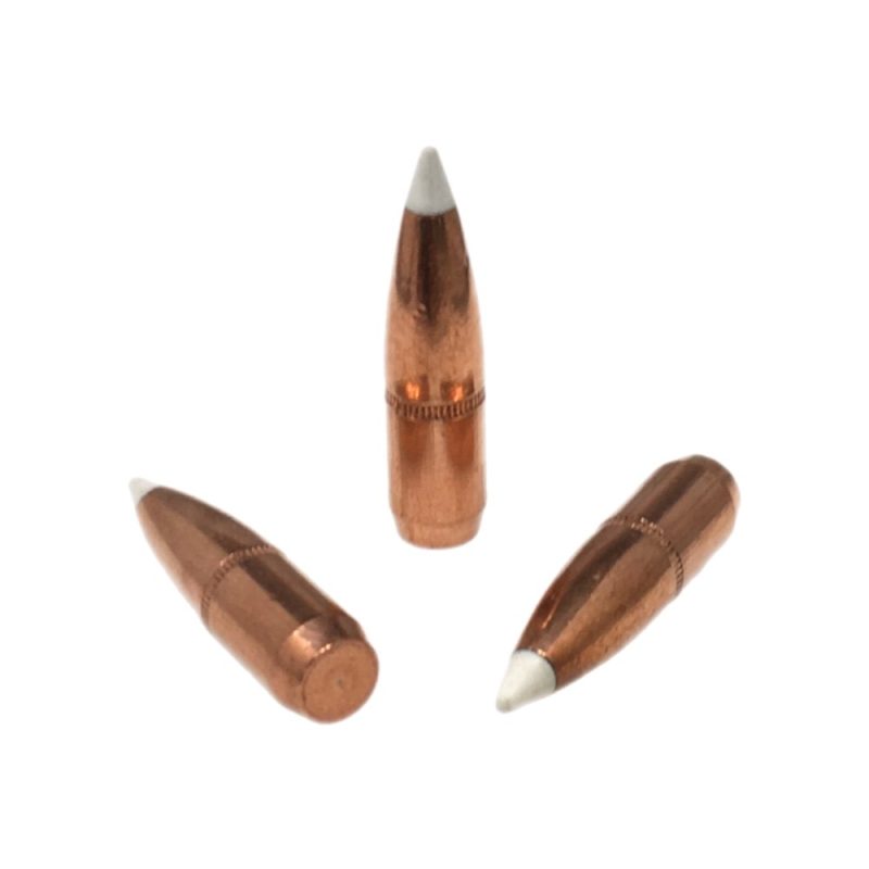 308 165gr nosler Accubond